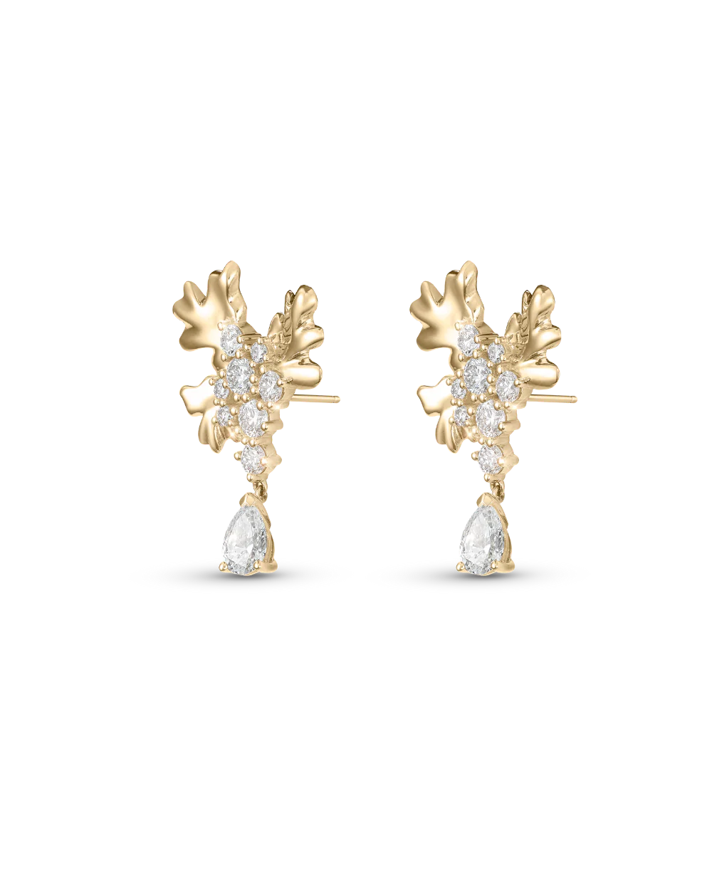 Isola Coral Earrings - Image 4